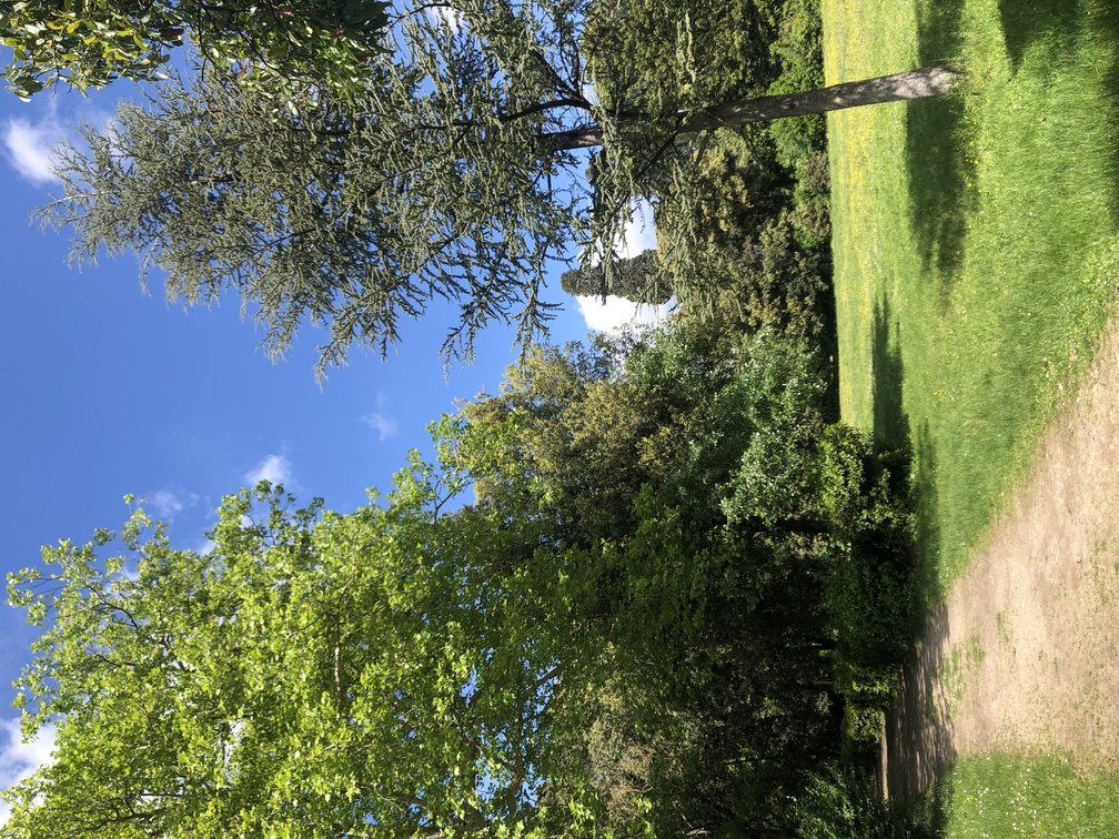 Parco di Villa Solaria.