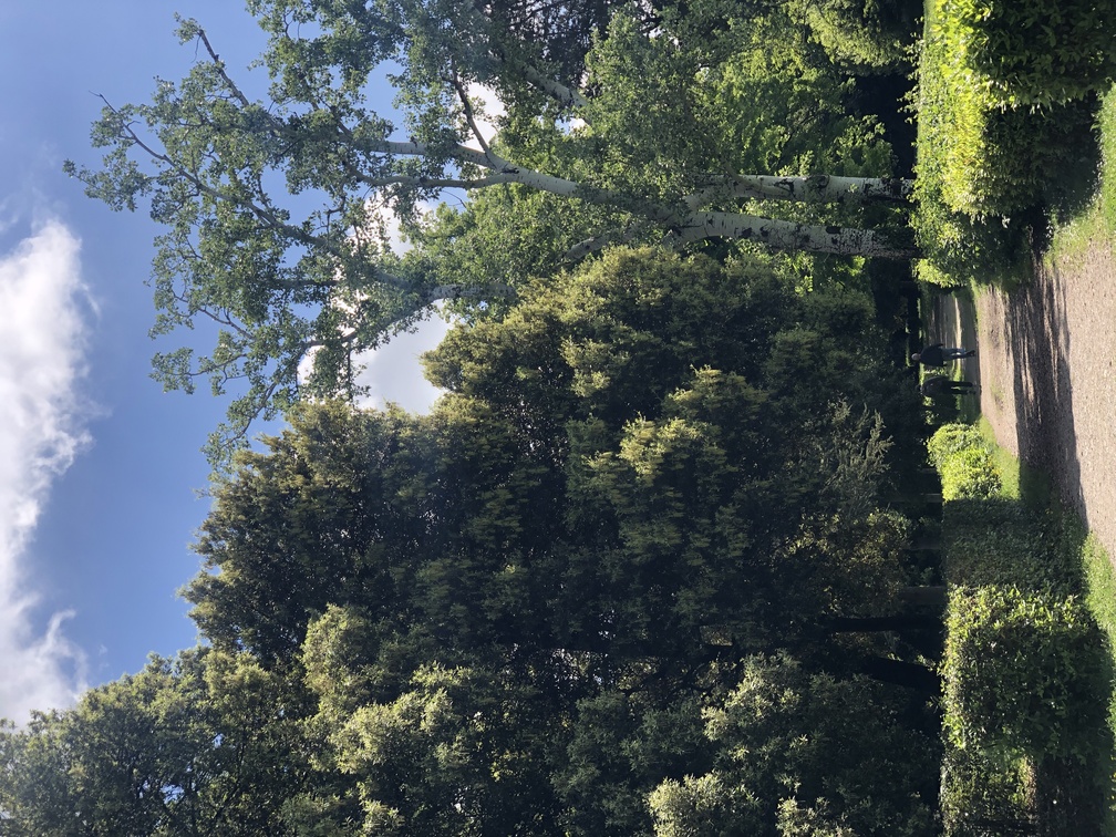 Parco di Villa Solaria.