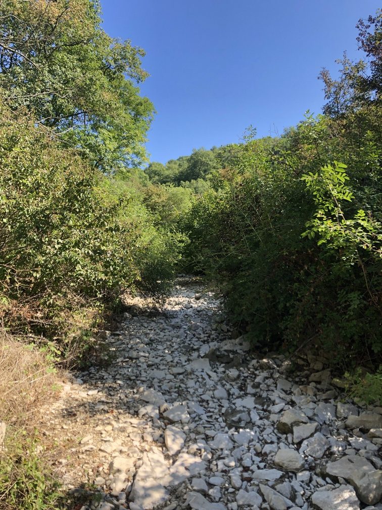Trekking Monte Morello - Torrente Carzola.