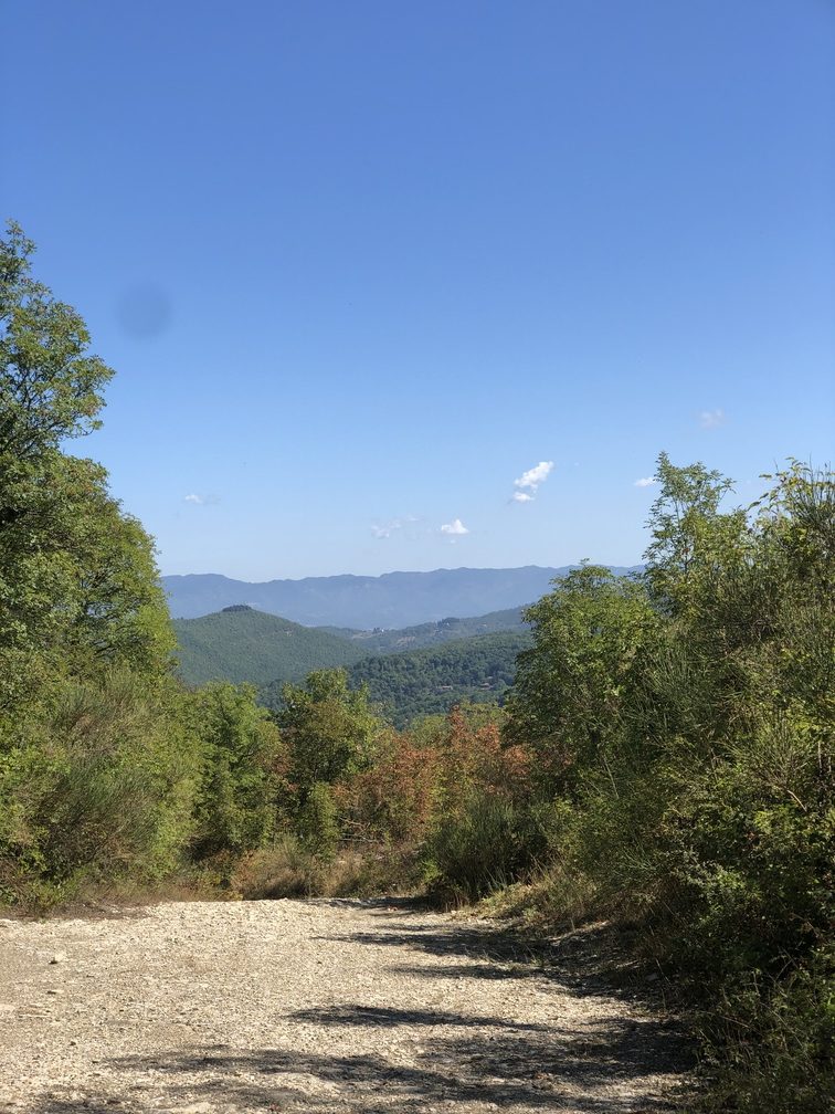 Trekking Monte Morello - panorama.