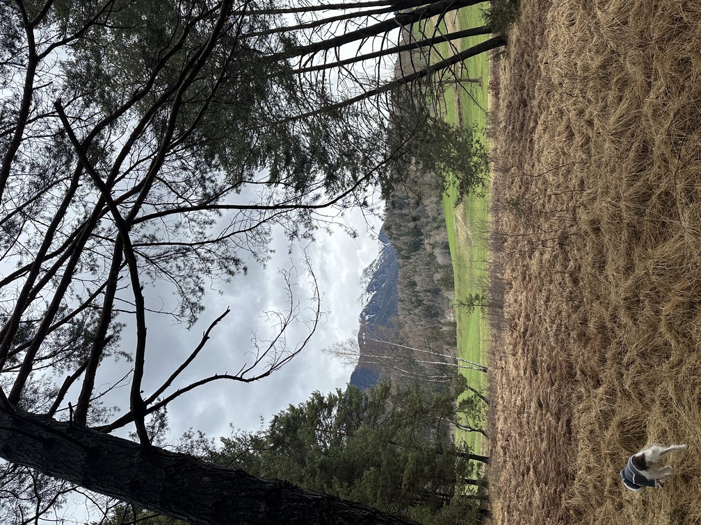 Castello di Fiemme - Biotopo del Brozin - torbiera.