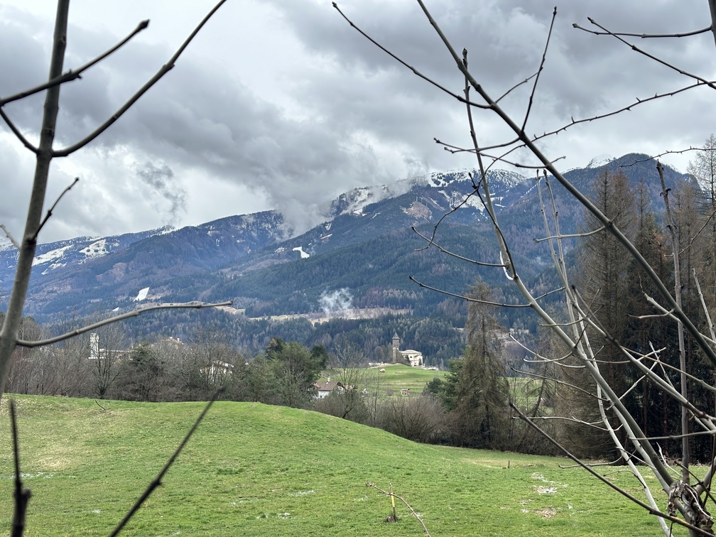 Castello di Fiemme - Biotopo del Brozin - veduta su Castello di Fiemme.