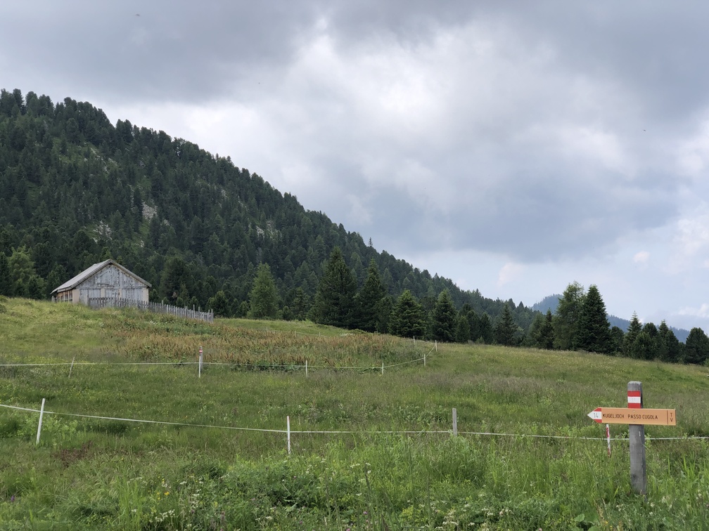 Sentiero n. 14 verso Passo Cugola - indicazioni da Passo Oclini.