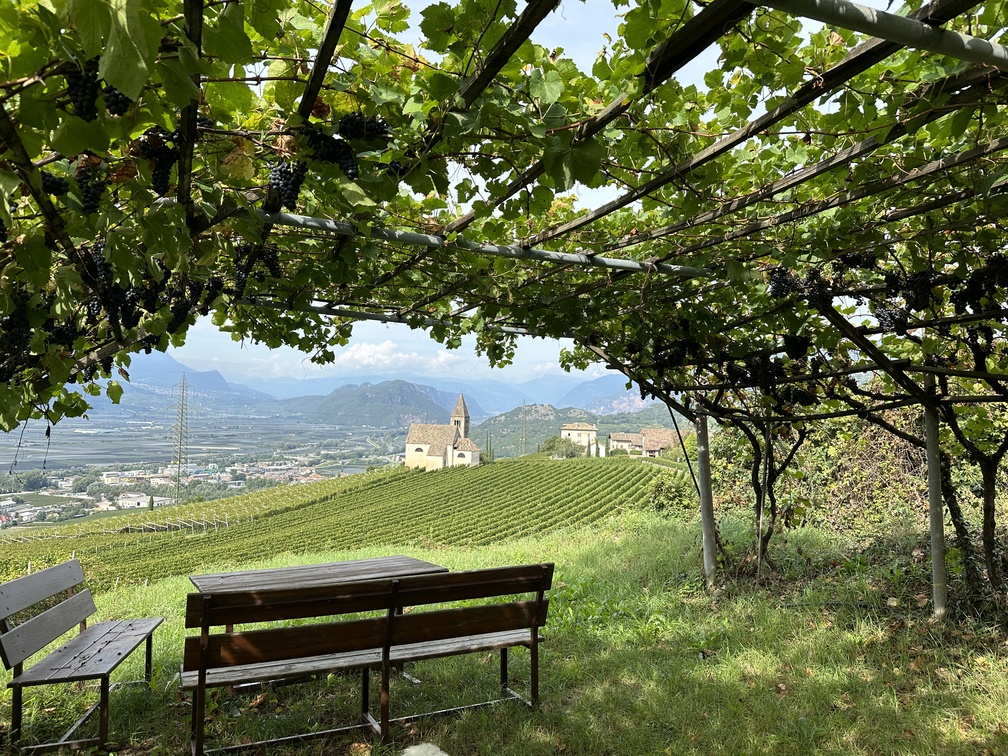 Mazzon - vigneti e panorama sulla Chiesa di San Michele.