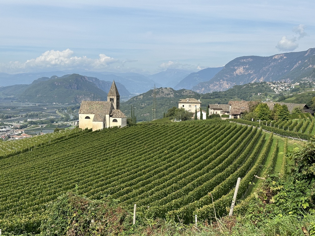 Mazzon - vigneti e panorama sulla Chiesa di San Michele.