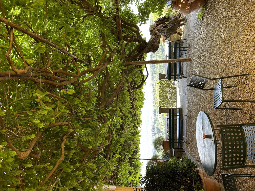 Pensione Bencistà a Fiesole - tavoli sotto il pergolato di glicine.