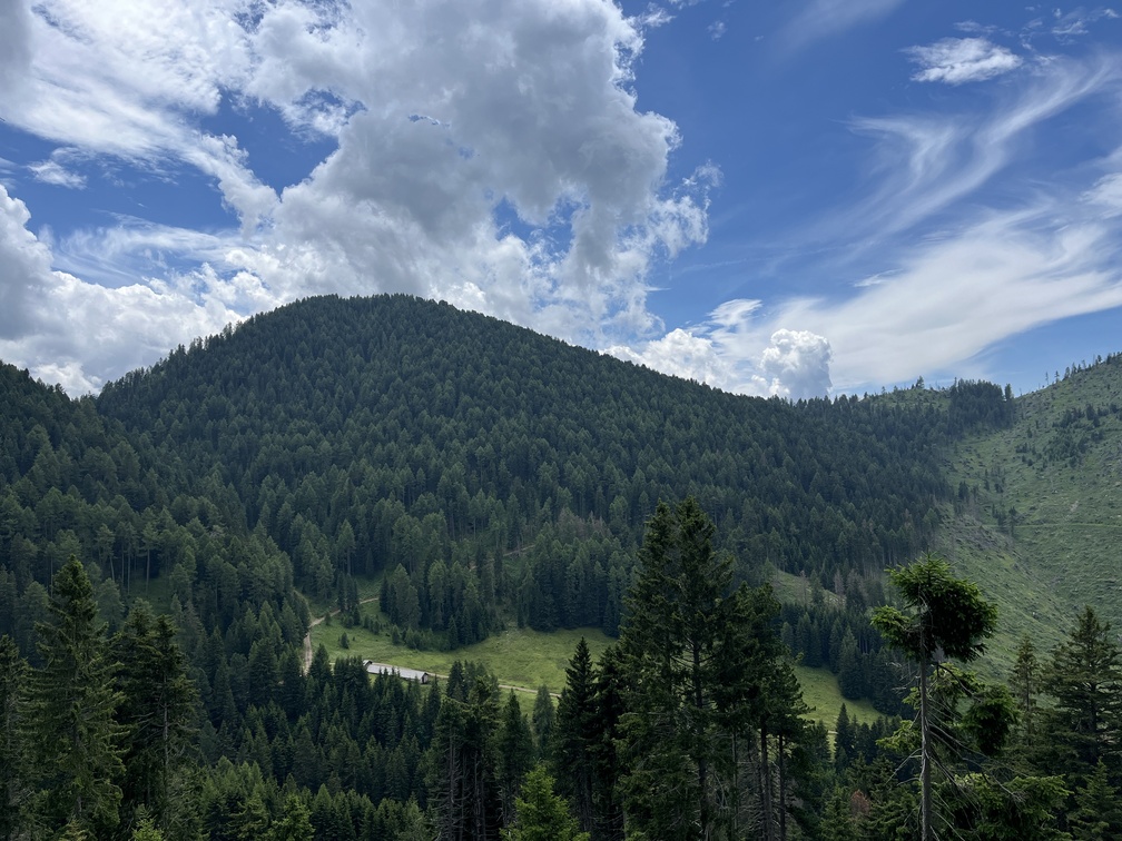 Veduta su Monte Cugola e Malga Cugola Bassa dal sentiero n. 14 in direzione Passo Oclini.