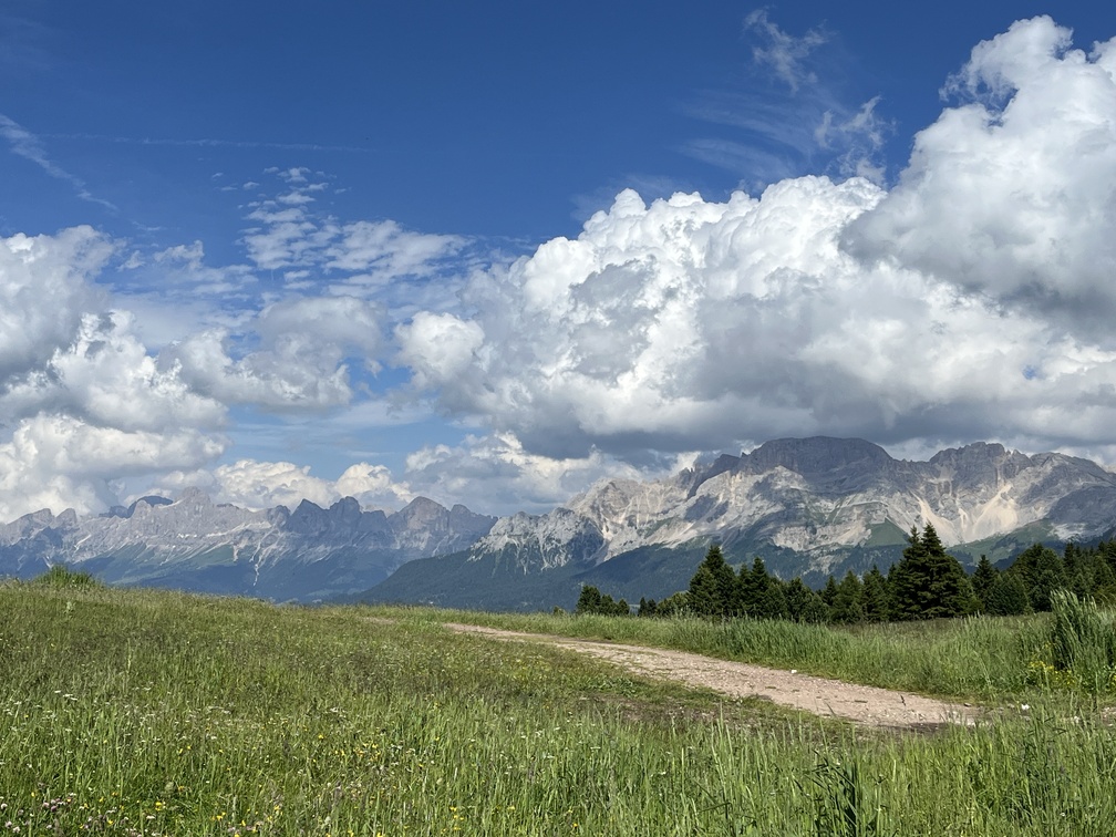 Sentiero n. 2 verso Passo Oclini - panorama sul Latemar.