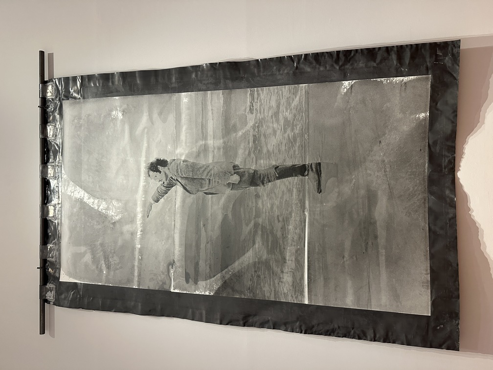Anselm Kiefer, "Heroische Sinnbilder (Simboli eroici)", 2009, stampe fotografiche su carta montate su piombo.