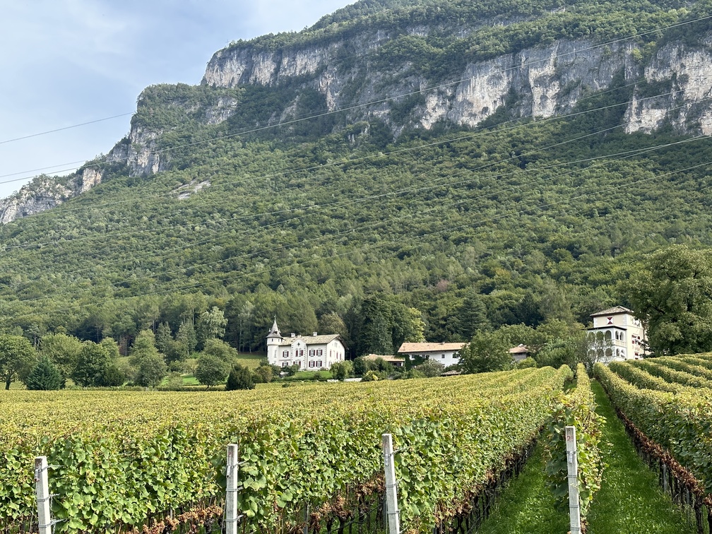 Mazzon - vigneti Brunnenhof.