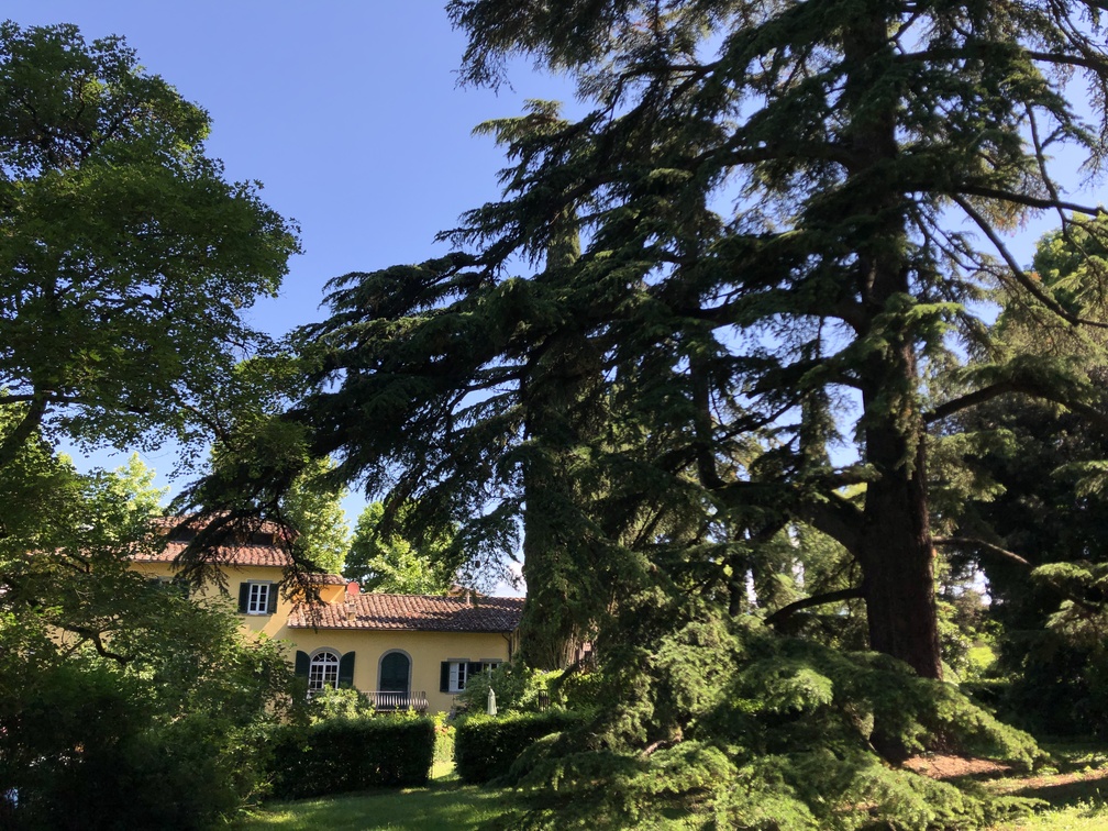 Giardino di San Francesco di Paola a Firenze.