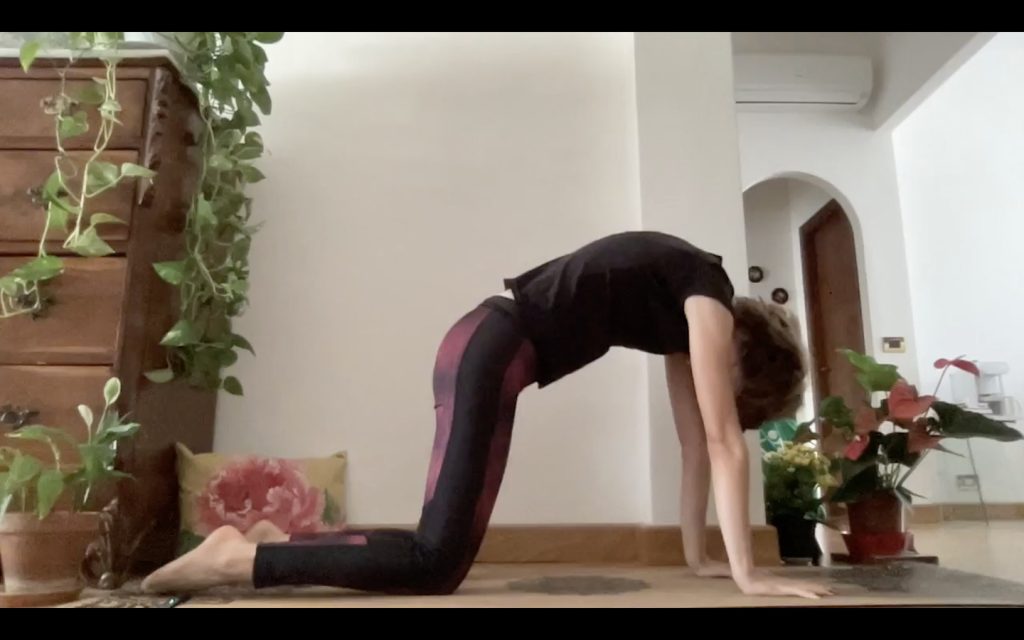 Pratica yoga - posizione del gatto.