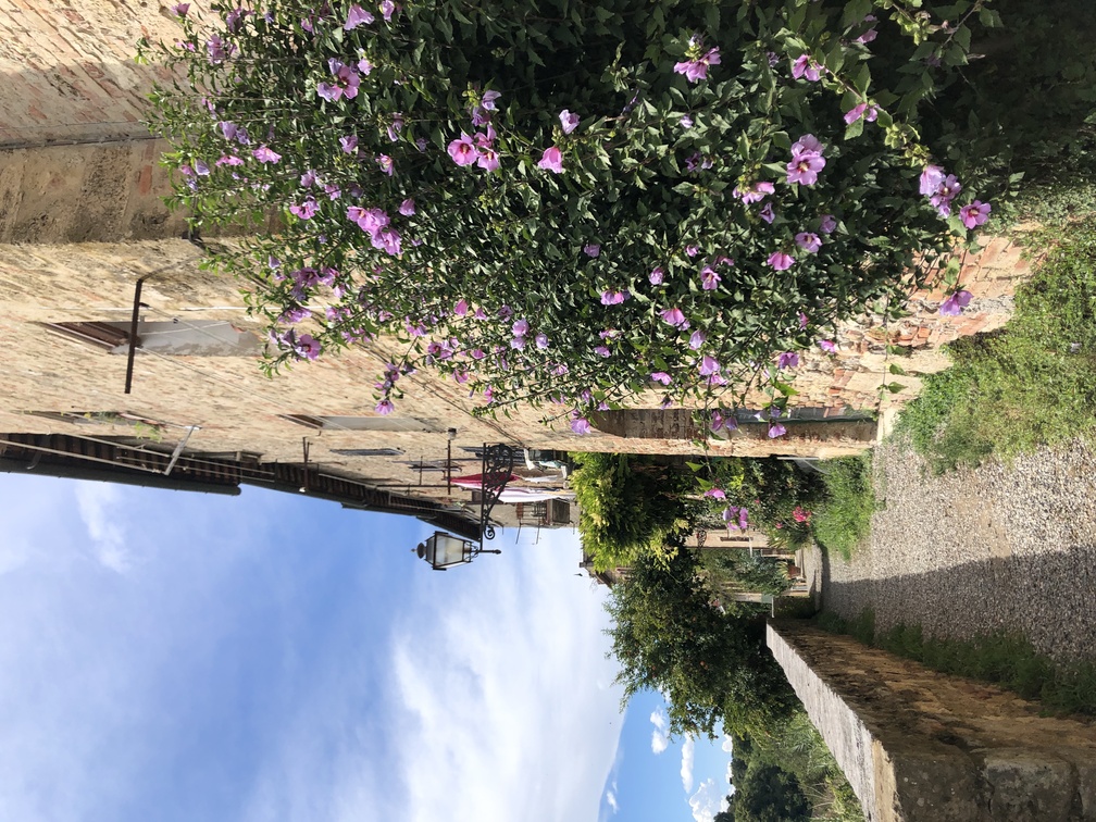 Colle Val d'Elsa - lungo le mura.