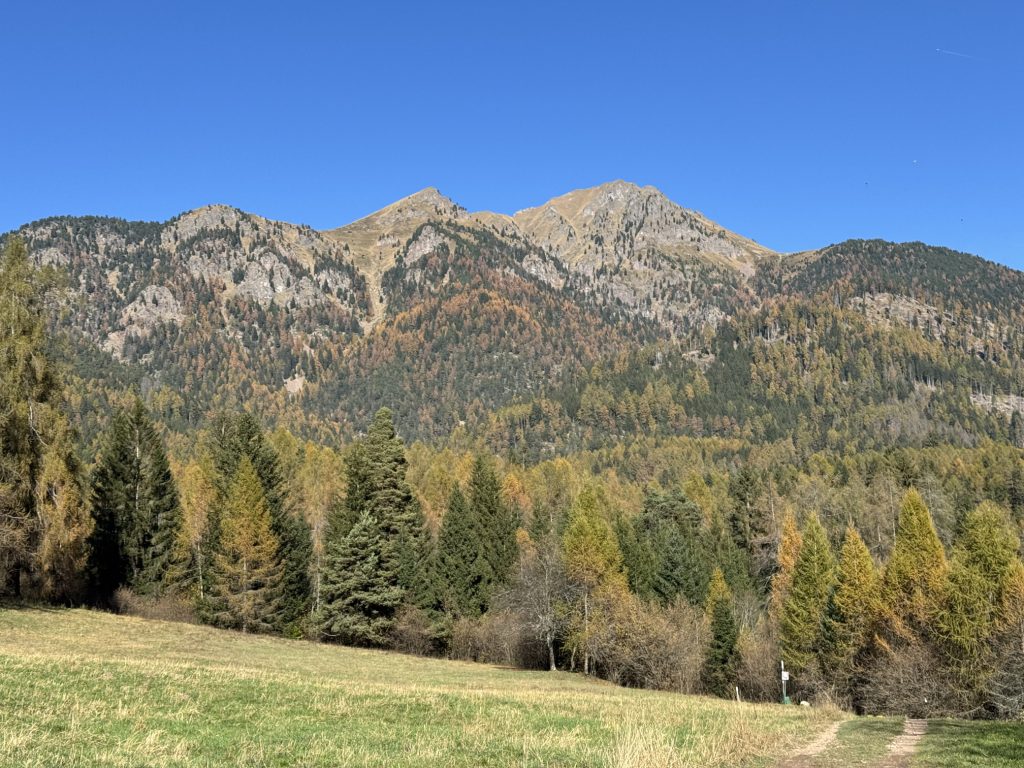 Il Bosco dei Silenzi Diversi - foliage sulle pendici del Corno Nero.