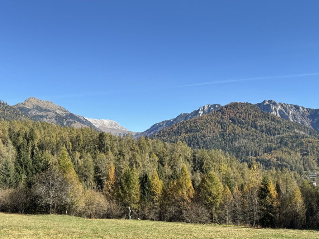 Il Bosco dei Silenzi Diversi - foliage sui boschi dei monti (Pala Santa, Latemar, Cucal e Cornacci).