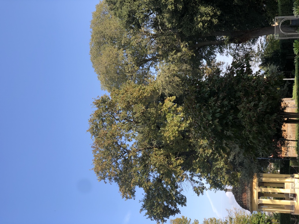 Parco delle Cascine - Le Pavoniere.