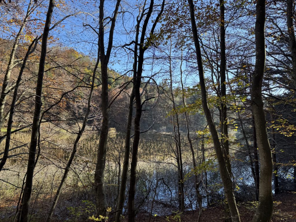 Lago di Cei - Pra' dell'Albi.