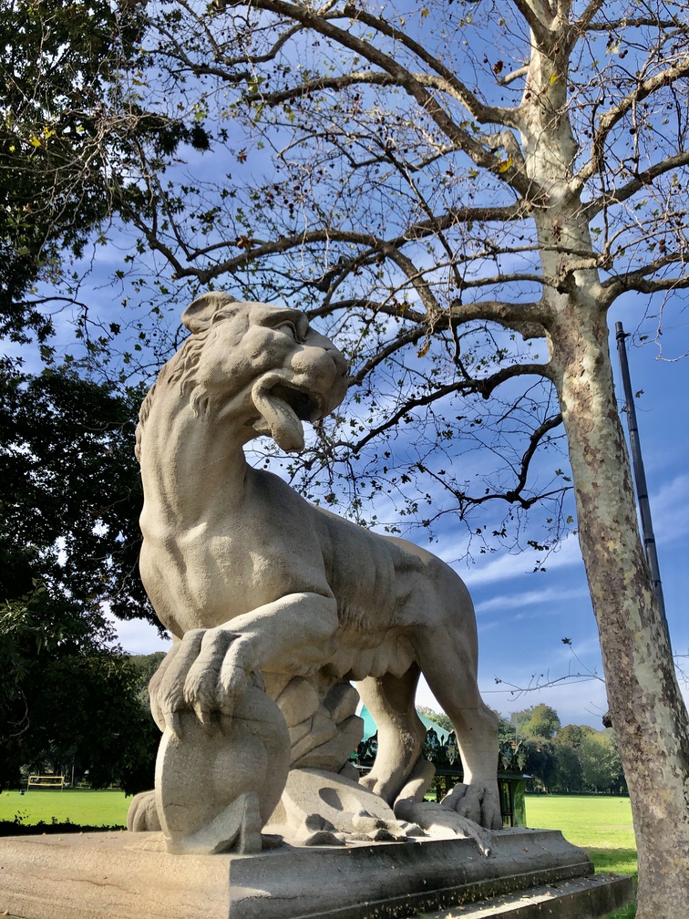 Parco delle Cascine - leonessa restaurata.