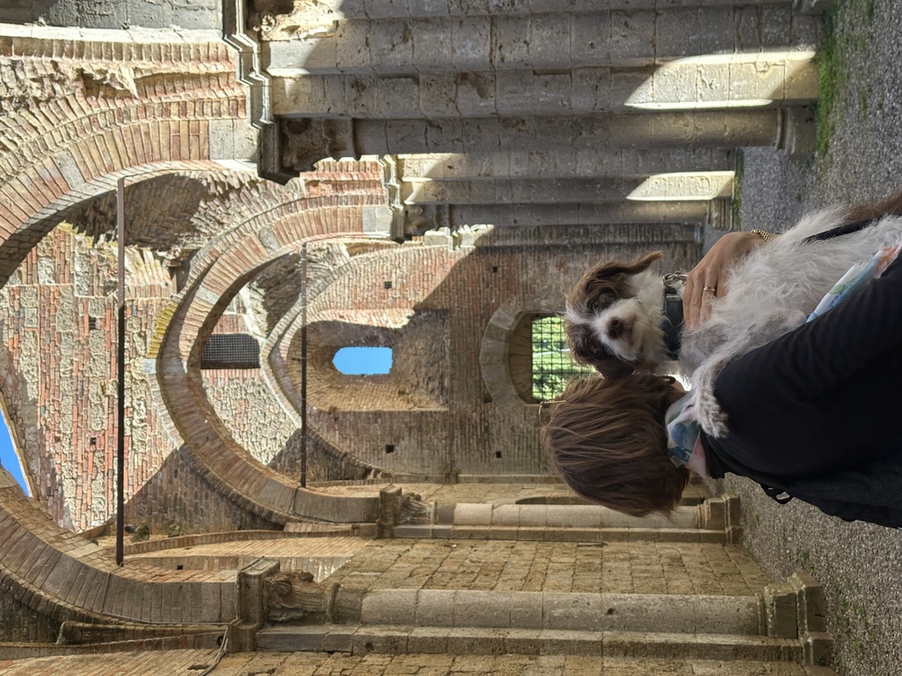 Abbazia di San Galgano - navata laterale, Federica e Frida.