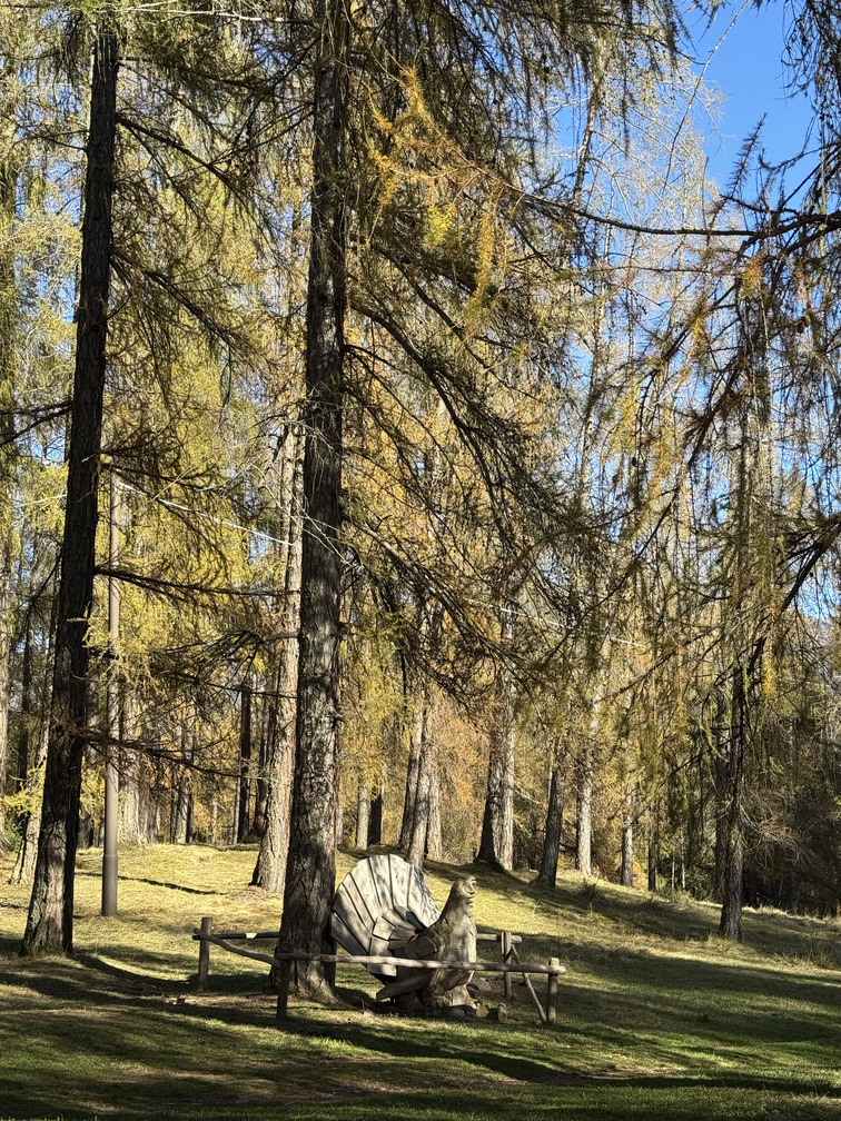 Il Bosco dei Silenzi Diversi - installazione del Gallo Cedrone in autunno.