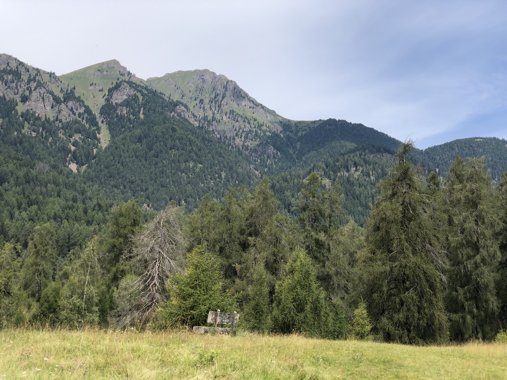 Il Bosco dei Silenzi Diversi - panchina in legno e veduta sul Corno Nero in estate.