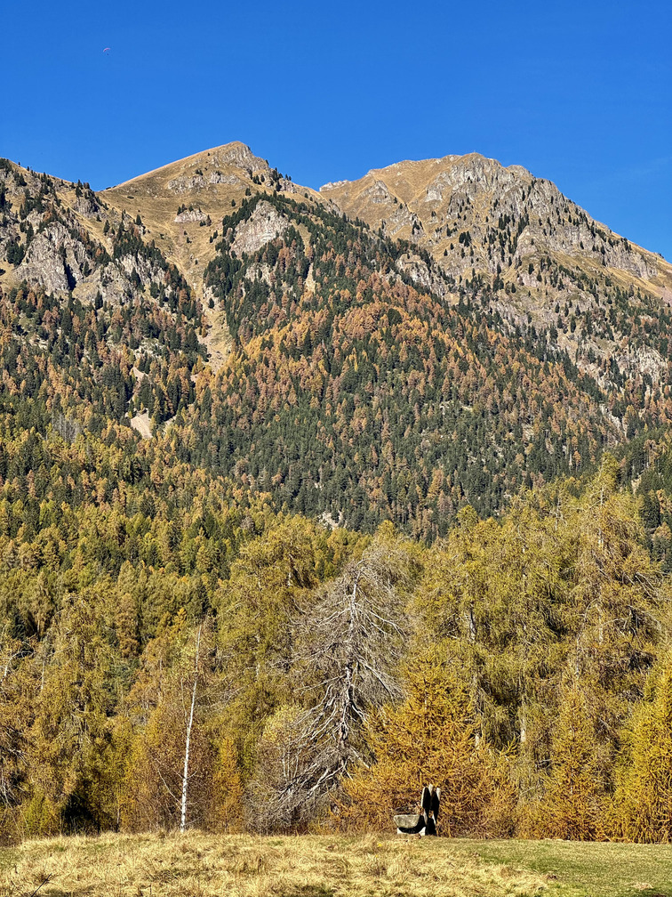 Il Bosco dei Silenzi Diversi - panchina in legno e veduta sul Corno Nero in autunno.