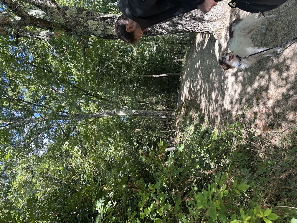 Eremo di Montesiepi - sentiero nel bosco.