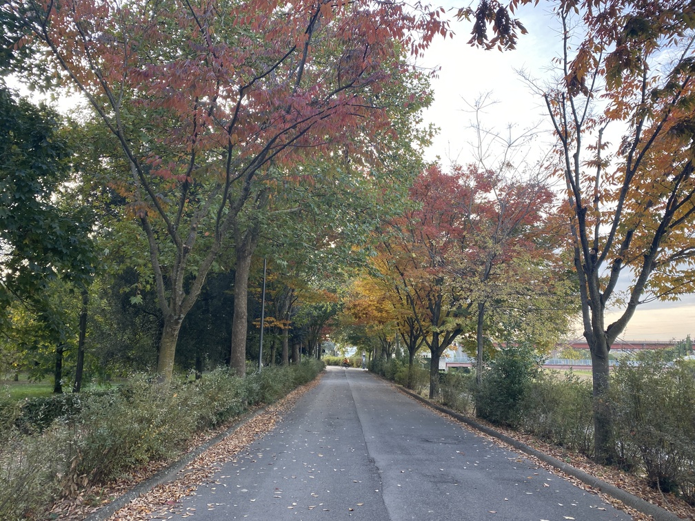 Parco delle Cascine - in direzione Ponte all'Indiano.