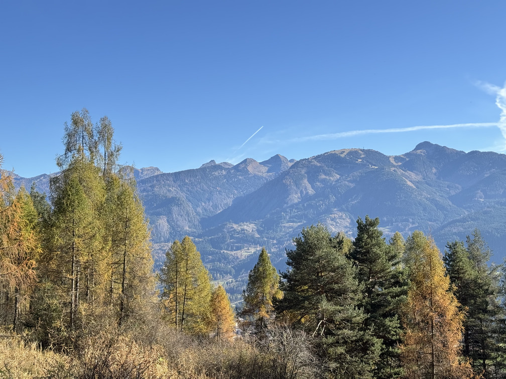 Il Bosco dei Silenzi Diversi - panorama sulla catena del Lagorai.