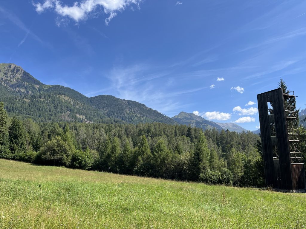 Il Bosco dei Silenzi Diversi - inizio.