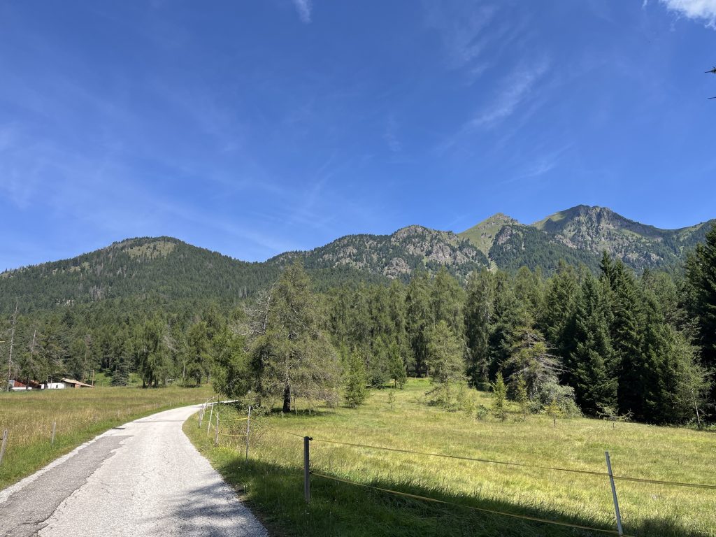 Il Bosco dei Silenzi Diversi - strada verso Maso Pozzal e panorama su Cugola.