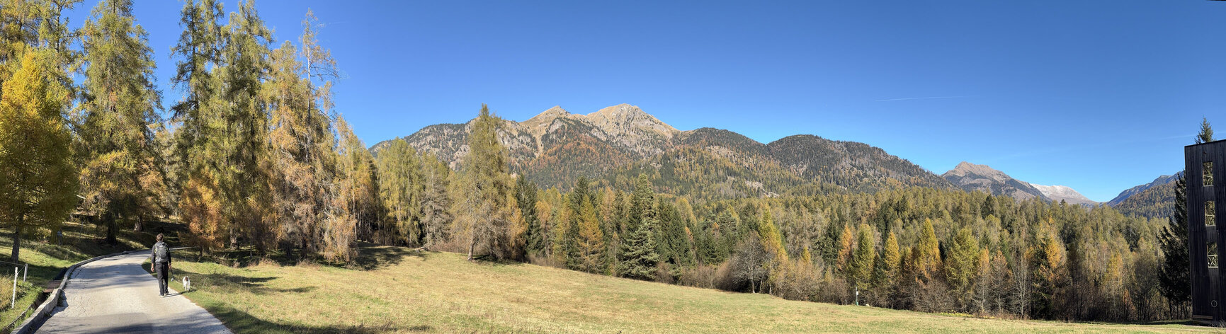 Il Bosco dei Silenzi Diversi - panorama autunnale dal Corno Nero a Pala Santa fino al Latemar sullo sfondo.