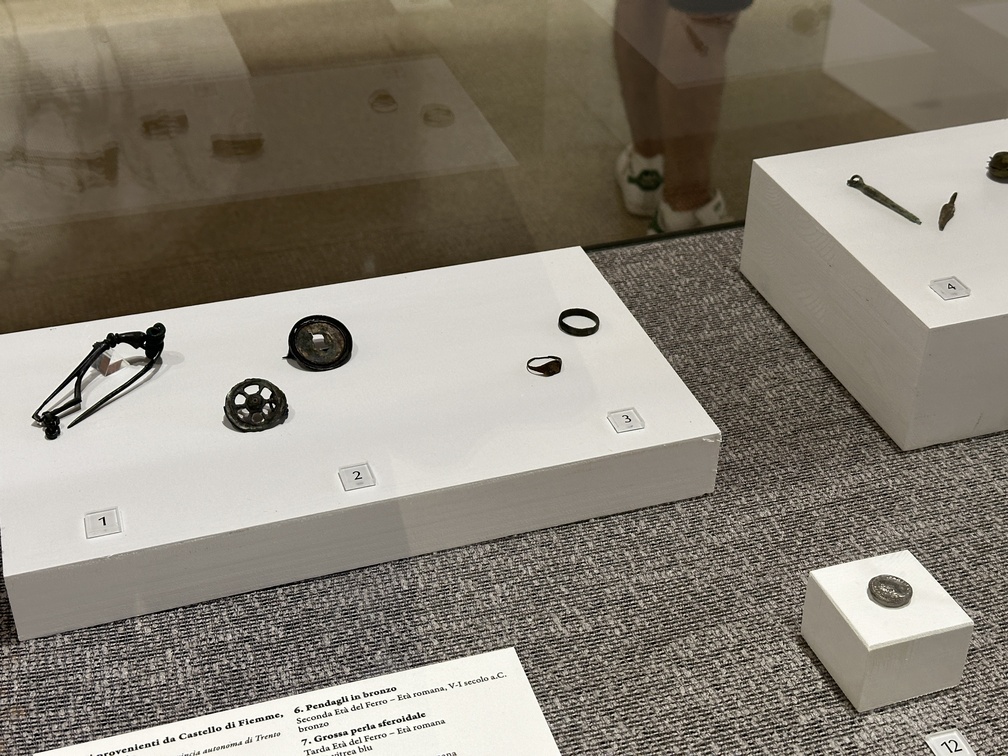 Reperti provenienti da Castello di Fiemme, loc. Doss Zelór, Ufficio beni archeologici - Provincia autonoma di Trento. 1. Fibula tipo Knotenfibeln,
Fine Età del Ferro - inizio Età romana, 75 a.C. - inizio I secolo d.C.
bronzo 2. Fibula a ruota e fibula a disco, Età romana, I secolo d.C. e II-III secolo d.C., bronzo 3. Anelli, Età romana, I-IV secolo d.C., bronzo 4. Pendagli a lancetta, Età del Ferro, bronzo 12. 12. Moneta di Settimio Severo, Età romana, 193-211 d.C., argento.