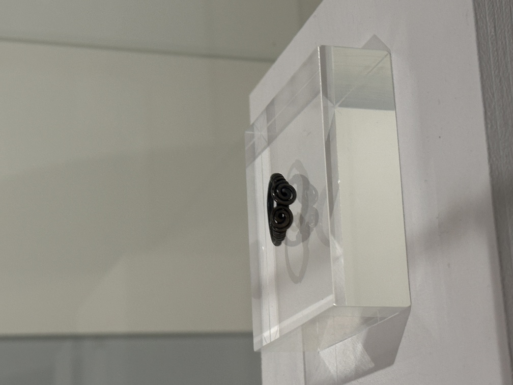 Anello, Età romana, argento, Castello di Fiemme, Doss Zelòr, Ufficio beni archeologici - Provincia autonoma di Trento.