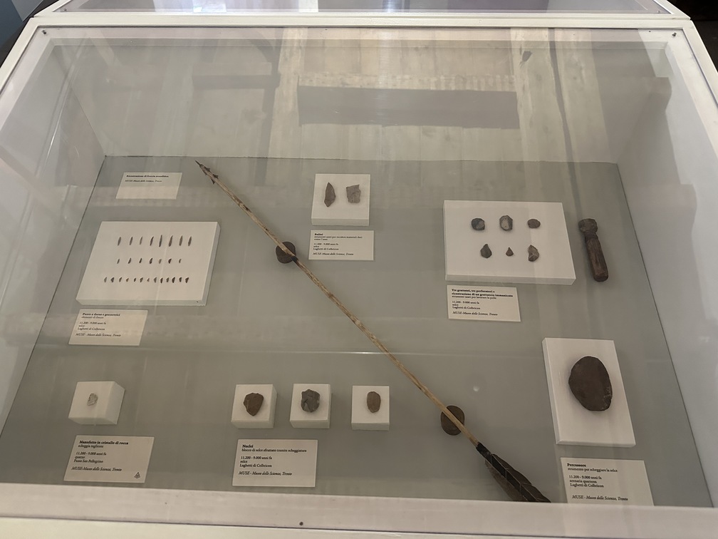 Vari reperti databili 11.200 - 9.000 anni fa, selve, MUSE - Museo delle Scienze, Trento. Al centro, ricostruzione di una freccia mesolitica.