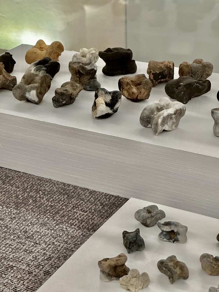 Astragali caprini e bovini, Seconda età del Ferro (V-IV secolo a.C.), ossa del calcagno (osso inferiore dell'arte posteriore), Tesero, loc. Sottopedonda, Ufficio beni archeologici - Provincia autonoma di Trento.