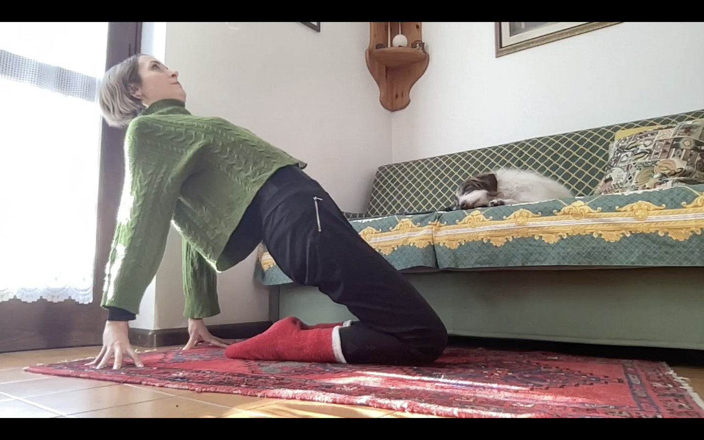 Yoga - Ushtrasana (variante) con le mani sul pavimento, sollevando il bacino.