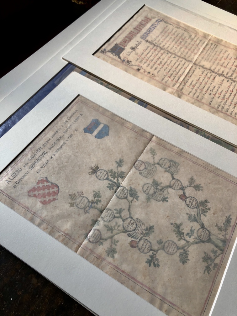 Ospedale Serristori - spezieria - carte con albero genealogico.