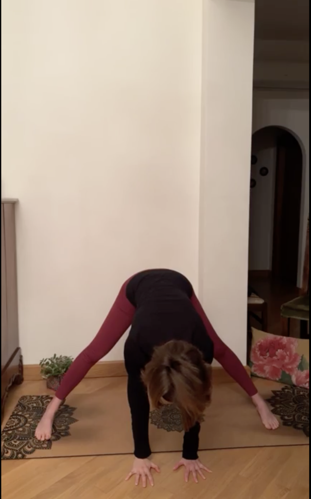 Pratica yoga - Prasarita Padottanasana.