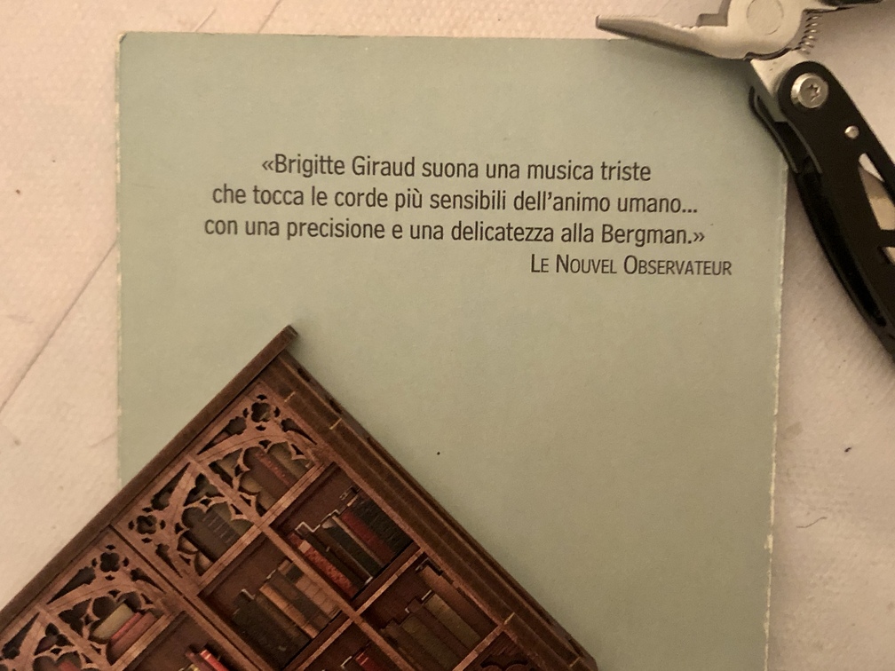 Brigitte Giraud, E adesso?, Guanda Editore, Parma, 2009.