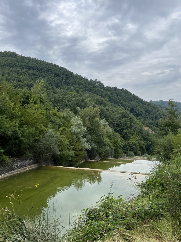 Castel dell'Alpi - torrente Savena.