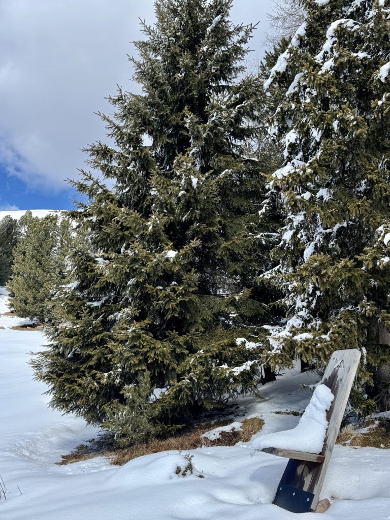 Passo Oclini - in direzione della Malga Ristoro Isi Hütte.