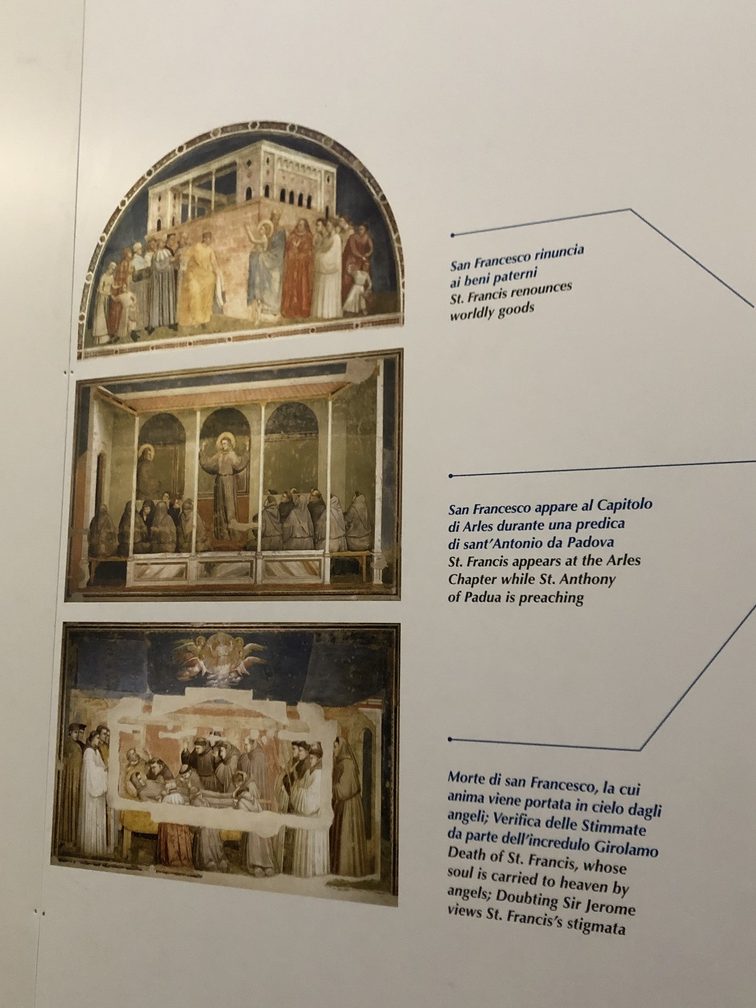 Cappella Bardi a Santa Croce (Firenze) – pannello illustrativo degli affreschi di Giotto.