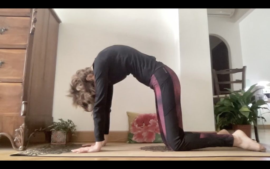 Yoga - posizione del gatto.