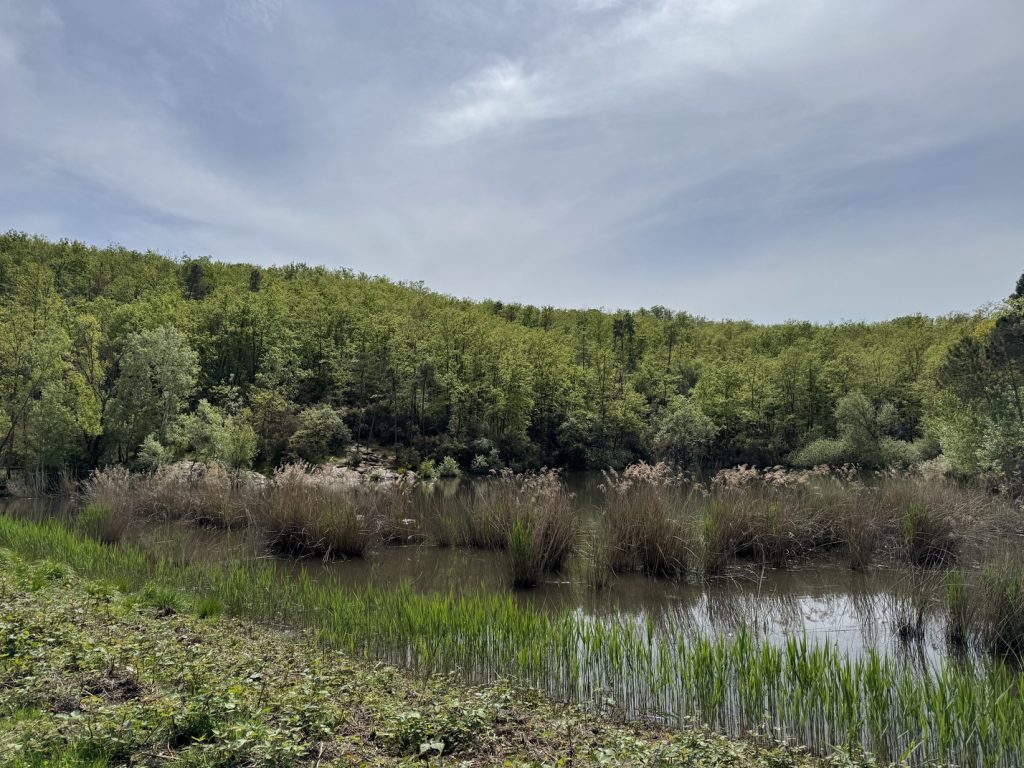 Poggio Valicaia - Lago di San Zanobi.