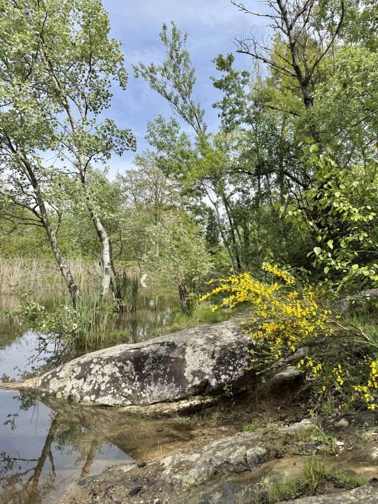 Poggio Valicaia - Lago di San Zanobi.