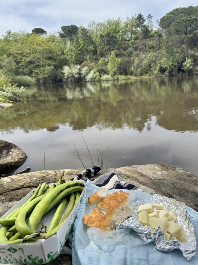 Poggio Valicaia - Lago di San Zanobi, pranzo.