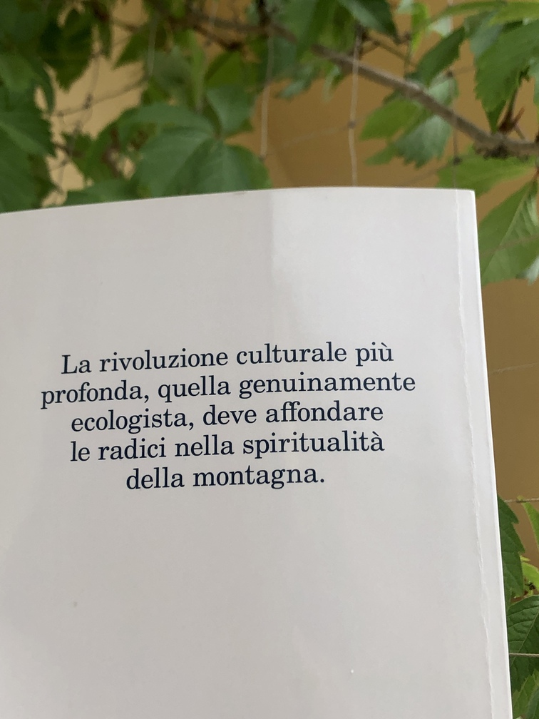 Matteo Righetto, Il richiamo della montagna, Feltrinelli, Milano, 2025 (prima edizione).