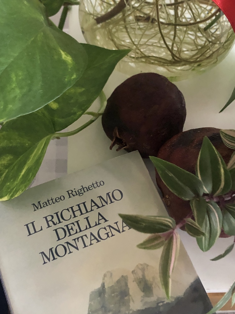 Matteo Righetto, Il richiamo della montagna, Feltrinelli, Milano, 2025 (prima edizione).