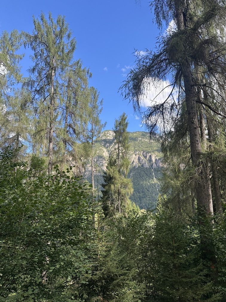 Escursione nel bosco di Zanolin - veduta su Cornacci lungo il sentiero n. 4 Busa Prima.